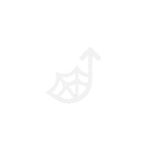 Resolute Webs Logo